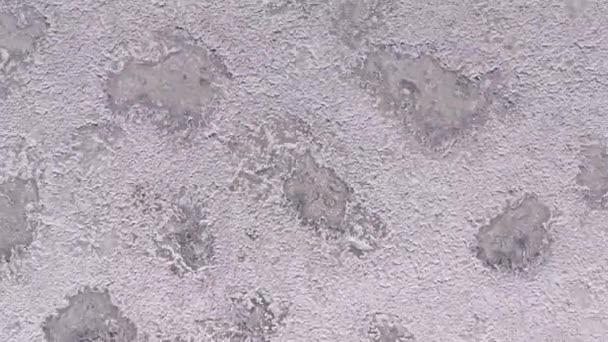 Clean Saline pattern texture. Large salt lake. Big Saline. Aerial drone top down view. — Stock Video