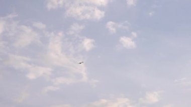 Beyaz bulutların arka planında yükselen Kara Şahin.