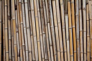 Bambu duvar arka plan 