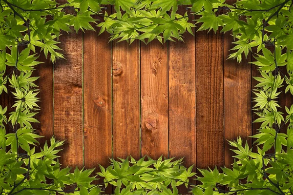 Groene bladeren op houten ondergrond — Stockfoto
