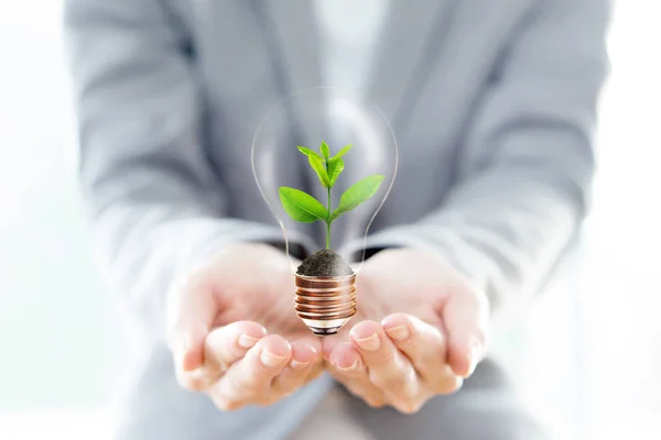 Empresária segurar lâmpada com solo e broto planta verde i — Fotografia de Stock