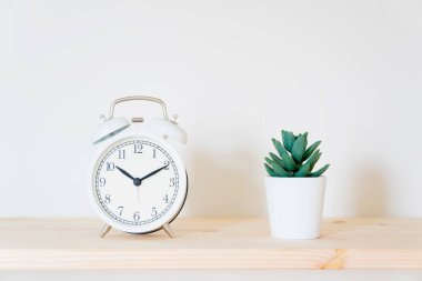 Alarm saati ve masa üzerindeki ev bitkisi beyaz duvar arka planında. Boşluğu kopyala