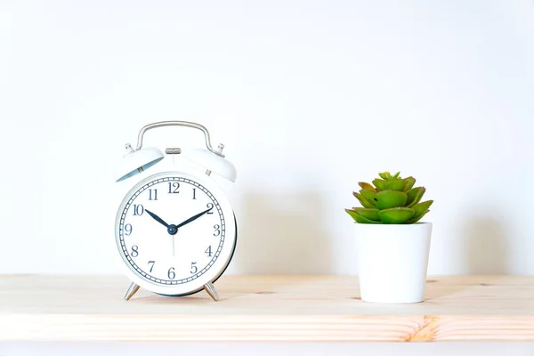 Alarm clock and home plant on the desk on a white wall background. Copy space