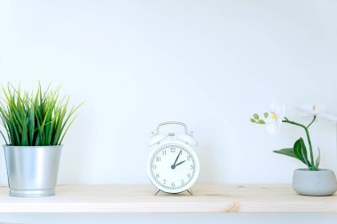 Alarm saati ve masa üzerindeki ev bitkisi beyaz duvar arka planında. Boşluğu kopyala
