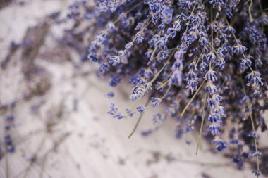 Lavanta çiçeği dallar üzerinde ahşap zemin