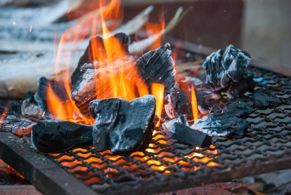 Flames and fish on the grill — Stock Photo, Image