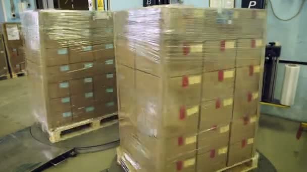 Automatisches Verpacken von Kartons mit Plastikfolie — Stockvideo