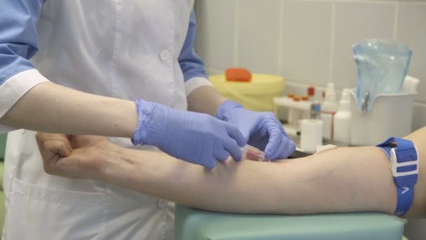 Sestra bere vzorky krve od pacientů — Stock video