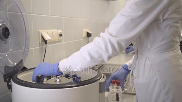 Enfermera en guantes pone tubos de sangre en centrifugadora — Vídeos de Stock