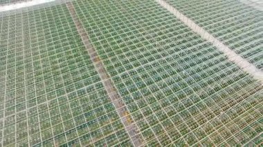 Seralarda sebze ile havadan görünümü