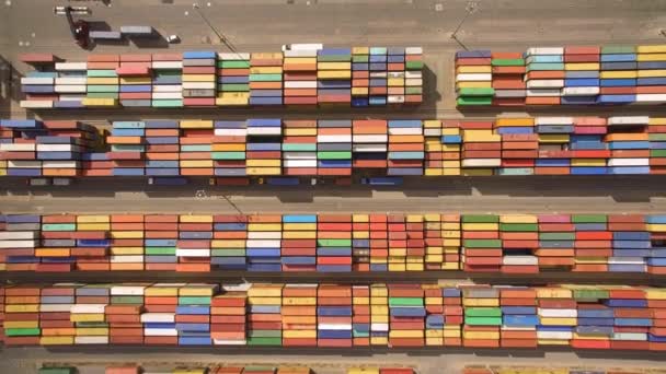 Ovanifrån av containerterminal — Stockvideo