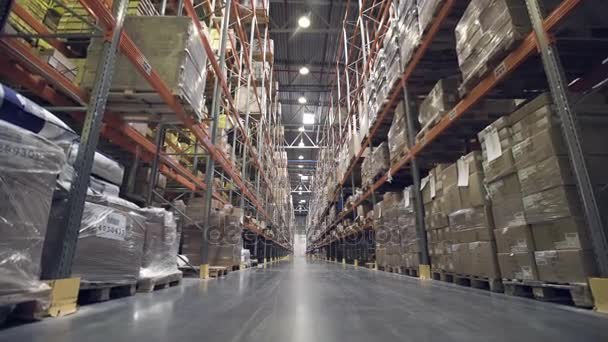 Interior del almacén con bastidores llenos de cajas de cartón — Vídeos de Stock