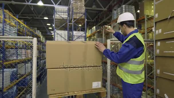 Warehouse arbetstagare kontrollera merchandise — Stockvideo