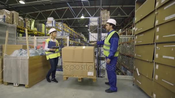 Trabalhadores do armazém verificam mercadorias — Vídeo de Stock