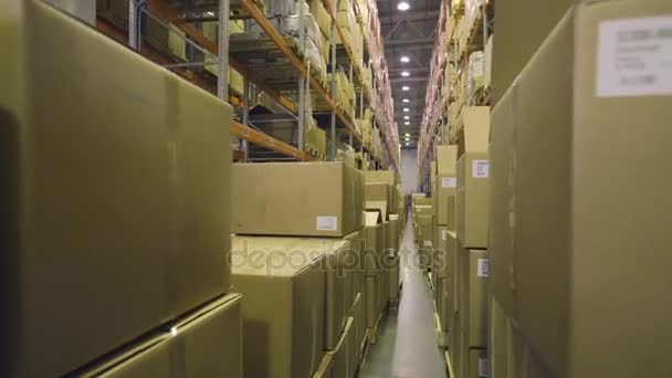 Camera beweegt langs vakken in magazijn — Stockvideo