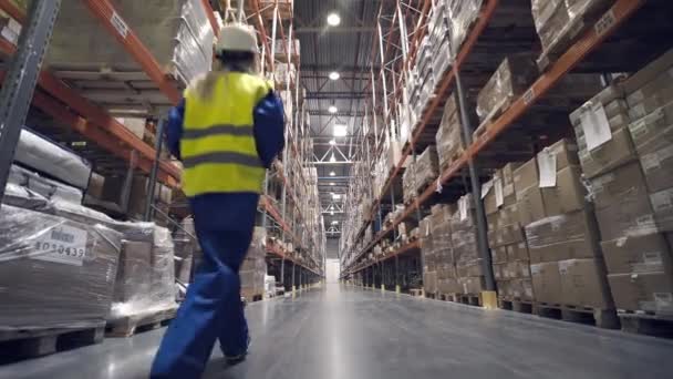 Trabajador de almacén camina a través de filas de almacén — Vídeo de stock