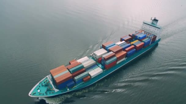 Vue aérienne du cargo naviguant en mer — Video