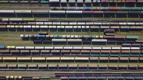 Aerial view of colorful freight wagons — Stock Video