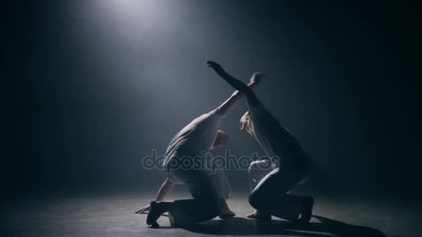 Muži cvičí capoeira — Stock video