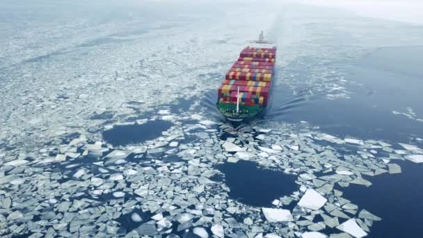 Containerschip in de zee bij wintertijd — Stockvideo