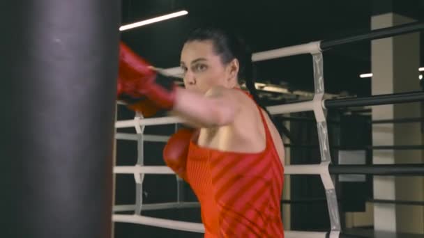 Jovem mulher em luvas de boxe batendo um saco de boxe — Vídeo de Stock