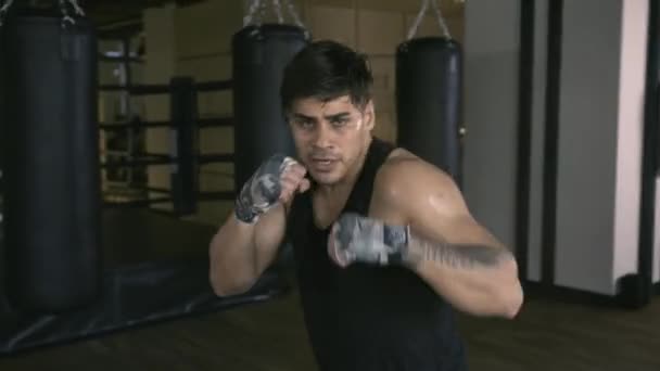 Boxeur masculin shadowboxing dans la salle de gym — Video