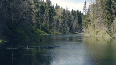 Harika vahşi doğa.