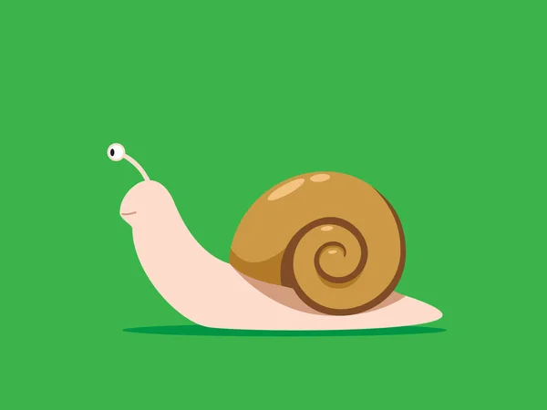 Brown House Snail on the green background — Stock Vector