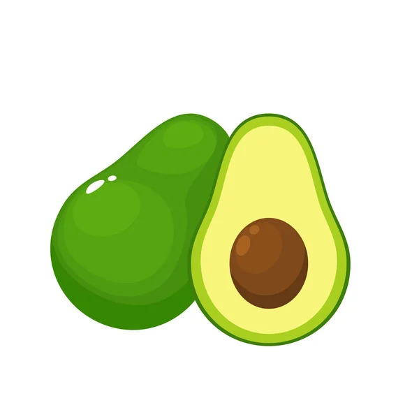 Avocado auf weißem Hintergrund. — Stockvektor