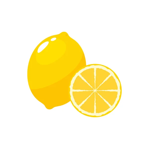 Anatomía de limón amarillo sobre fondo blanco — Archivo Imágenes Vectoriales