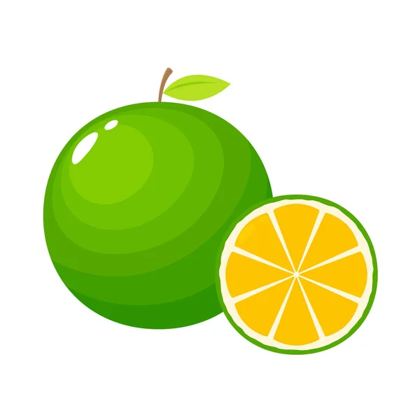 Lime gyümölcs illusztráció vágott — Stock Vector