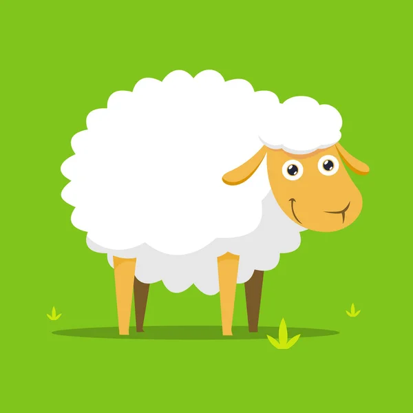 Ilustración de ovejas blancas. Ilustración vectorial aislada — Vector de stock