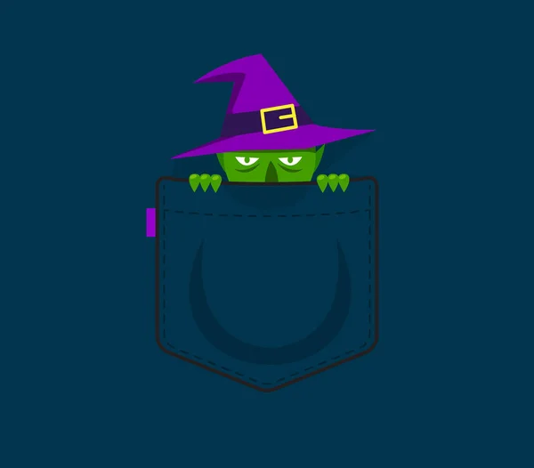 A witch behind the pocket. Isolated Vector Illustration — Stock Vector
