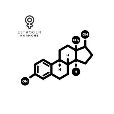 Östrojen dişi seks hormonu molekülü. İzole Vektör İllüstrasyonu.