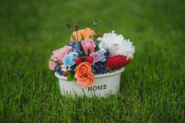 çiçekler küçük bir pot