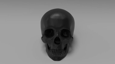 yüksek poli anatomik olarak insan kafatasının yapılandırılması