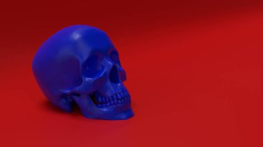 yüksek poli anatomik olarak insan kafatasının yapılandırılması