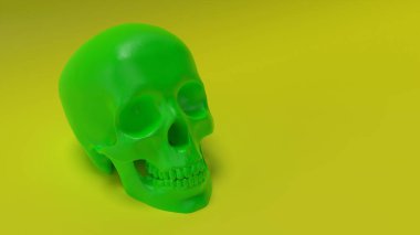 yüksek poli anatomik olarak insan kafatasının yapılandırılması