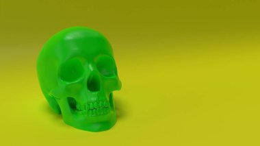 yüksek poli anatomik olarak insan kafatasının yapılandırılması