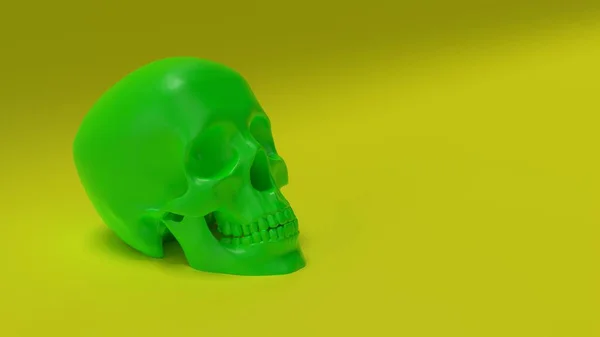 High poly anatomically correct render of human skull — Stock Photo, Image