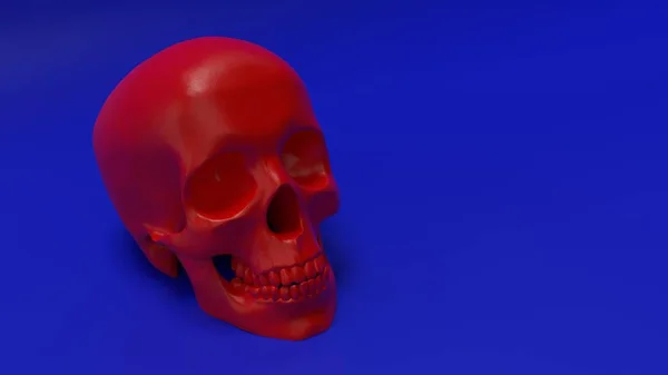 Magas poli anatómiailag helyes renderelés az emberi koponya — Stock Fotó