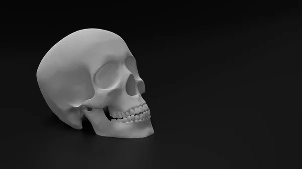 High Poly anatomisch korrekte Darstellung des menschlichen Schädels — Stockfoto