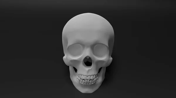Wysoki poli poprawny anatomicznie renderowanie ludzkiej czaszki — Zdjęcie stockowe