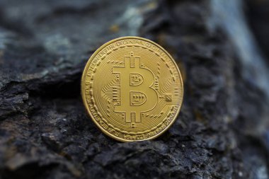  Taşa sunulan ana dijital para birimi olarak dünya çapında altın bitcoin.