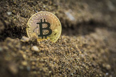  Taşa sunulan ana dijital para birimi olarak dünya çapında altın bitcoin.