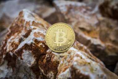  Taşa sunulan ana dijital para birimi olarak dünya çapında altın bitcoin.