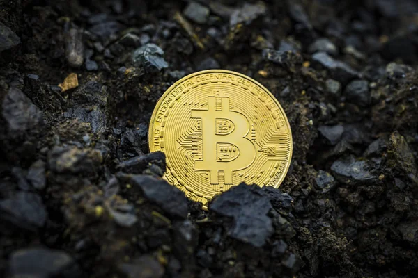  Taşa sunulan ana dijital para birimi olarak dünya çapında altın bitcoin.