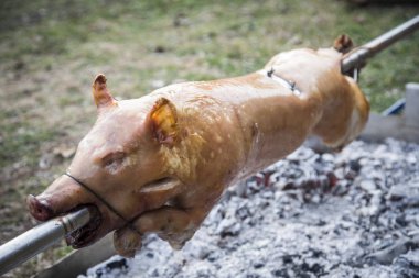 Bir ateşe Kavrulmuş Bütün domuz.