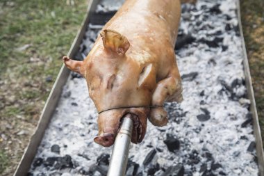 Bir ateşe Kavrulmuş Bütün domuz.