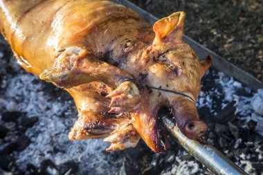 Bir ateşe Kavrulmuş Bütün domuz.